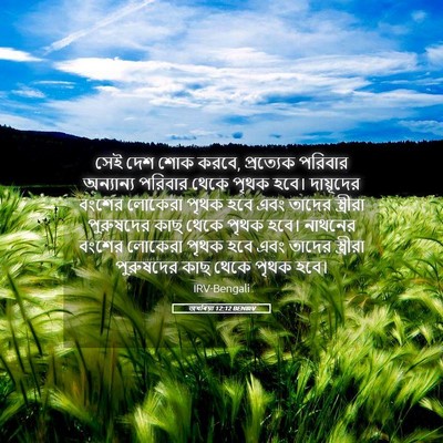 Picture 05 - জখৰিয়া 12:12 BENIRV - সেই দেশ শোক করবে, - Bible Verse Picture