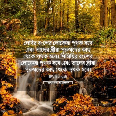 Picture 05 - জখৰিয়া 12:13 BENIRV - লেবির বংশের - Bible Verse Picture