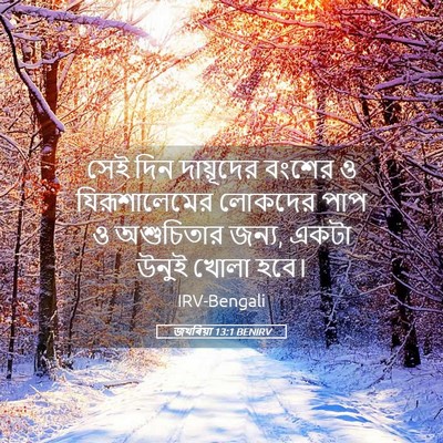 Picture 05 - জখৰিয়া 13:1 BENIRV - সেই দিন দায়ূদের - Bible Verse Picture