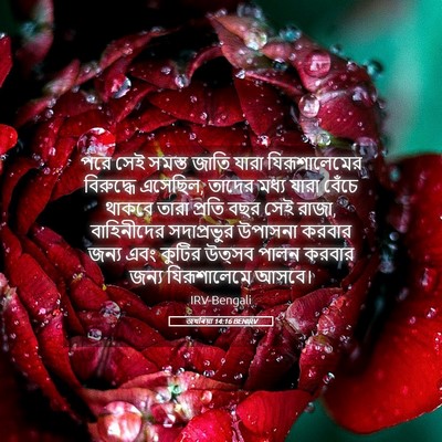 Picture 05 - জখৰিয়া 14:16 BENIRV - পরে সেই সমস্ত জাতি - Bible Verse Picture
