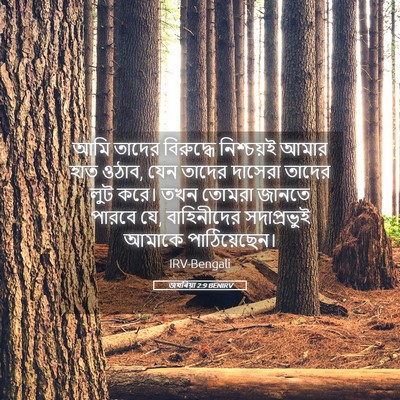 Picture 05 - জখৰিয়া 2:9 BENIRV - আমি তাদের - Bible Verse Picture