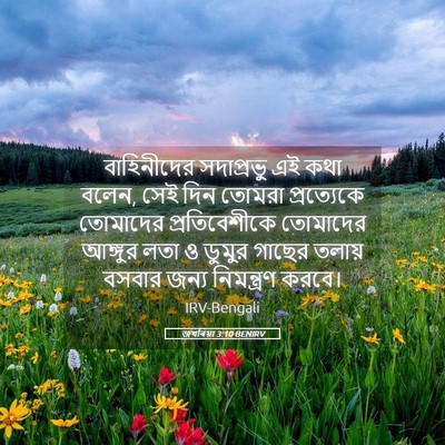 Picture 05 - জখৰিয়া 3:10 BENIRV - বাহিনীদের - Bible Verse Picture