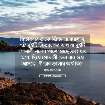 Picture 05 - জখৰিয়া 4:12 BENIRV - দ্বিতীয়বার তাঁকে - Bible Verse Picture