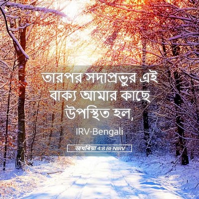 Picture 05 - জখৰিয়া 4:8 BENIRV - তারপর সদাপ্রভুর - Bible Verse Picture