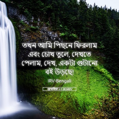Picture 05 - জখৰিয়া 5:1 BENIRV - তখন আমি পিছনে - Bible Verse Picture