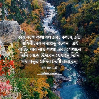Picture 05 - জখৰিয়া 6:12 BENIRV - তার সঙ্গে কথা বল - Bible Verse Picture