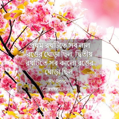 Picture 05 - জখৰিয়া 6:2 BENIRV - প্রথম রথটিতে সব - Bible Verse Picture