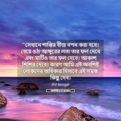 Picture 05 - জখৰিয়া 8:12 BENIRV - “‘সেখানে শান্তির - Bible Verse Picture