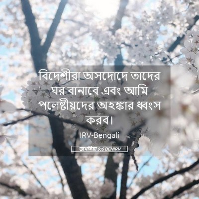 Picture 05 - জখৰিয়া 9:6 BENIRV - বিদেশীরা অসদোদে - Bible Verse Picture