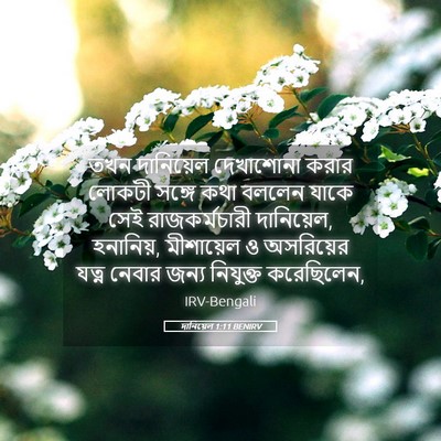 Picture 05 - দানিয়েল 1:11 BENIRV - তখন দানিয়েল - Bible Verse Picture