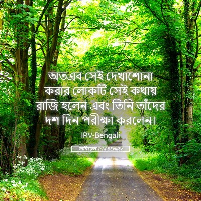 Picture 05 - দানিয়েল 1:14 BENIRV - অতএব সেই দেখাশোনা - Bible Verse Picture