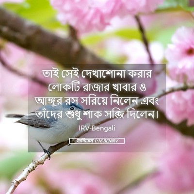 Picture 05 - দানিয়েল 1:16 BENIRV - তাই সেই দেখাশোনা - Bible Verse Picture