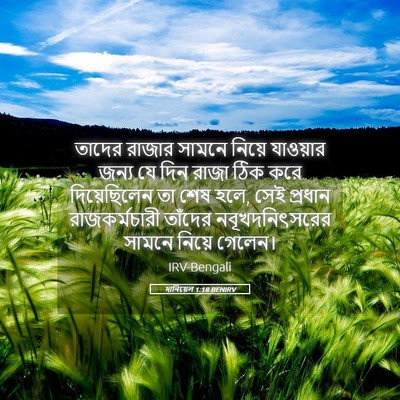 Picture 05 - দানিয়েল 1:18 BENIRV - তাদের রাজার সামনে - Bible Verse Picture