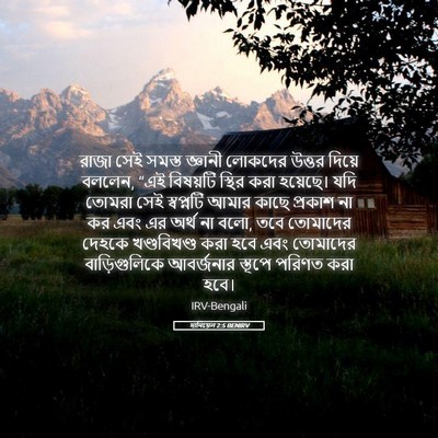 Picture 05 - দানিয়েল 2:5 BENIRV - রাজা সেই সমস্ত - Bible Verse Picture