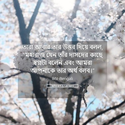 Picture 05 - দানিয়েল 2:7 BENIRV - তারা আবার তার - Bible Verse Picture