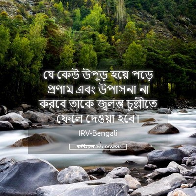 Picture 05 - দানিয়েল 3:11 BENIRV - যে কেউ উপুড় হয়ে - Bible Verse Picture