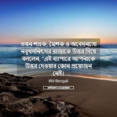 Picture 05 - দানিয়েল 3:16 BENIRV - তখন শদ্রক, মৈশক ও - Bible Verse Picture