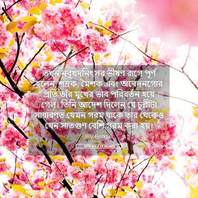 Picture 05 - দানিয়েল 3:19 BENIRV - তখন নবূখদনিৎসর - Bible Verse Picture
