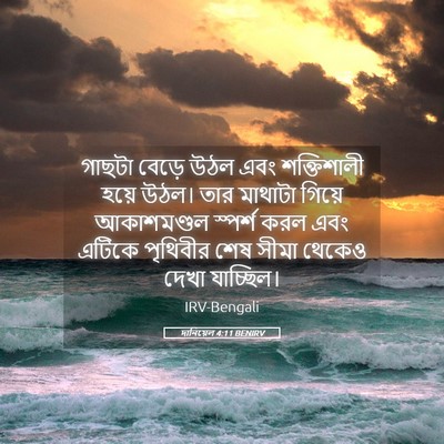 Picture 05 - দানিয়েল 4:11 BENIRV - গাছটা বেড়ে উঠল - Bible Verse Picture
