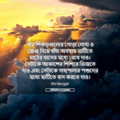 Picture 05 - দানিয়েল 4:15 BENIRV - তার শিকড়গুলোর - Bible Verse Picture
