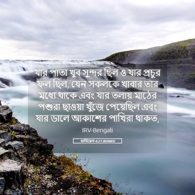 Picture 05 - দানিয়েল 4:21 BENIRV - যার পাতা খুব - Bible Verse Picture