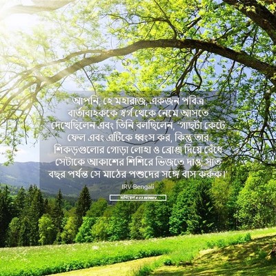 Picture 05 - দানিয়েল 4:23 BENIRV - আপনি, হে মহারাজ, - Bible Verse Picture