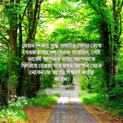 Picture 05 - দানিয়েল 4:26 BENIRV - যেমন শিকড় সুদ্ধ - Bible Verse Picture