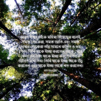 Picture 05 - দানিয়েল 5:19 BENIRV - কারণ ঈশ্বর তাঁকে - Bible Verse Picture