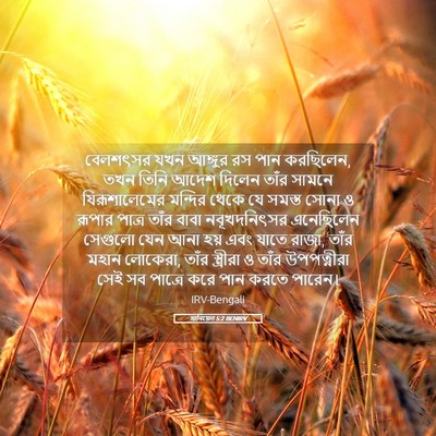 Picture 05 - দানিয়েল 5:2 BENIRV - বেলশৎসর যখন - Bible Verse Picture