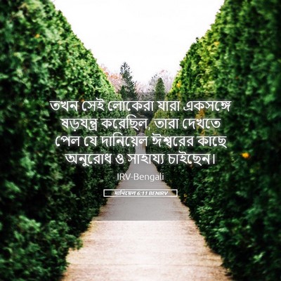Picture 05 - দানিয়েল 6:11 BENIRV - তখন সেই লোকেরা - Bible Verse Picture