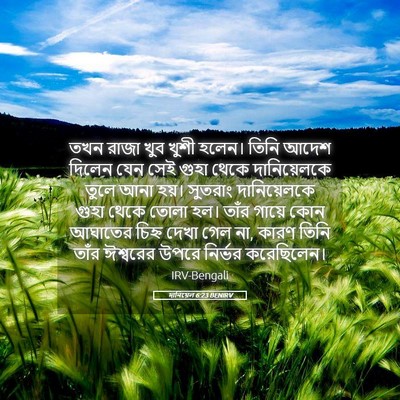 Picture 05 - দানিয়েল 6:23 BENIRV - তখন রাজা খুব খুশী - Bible Verse Picture