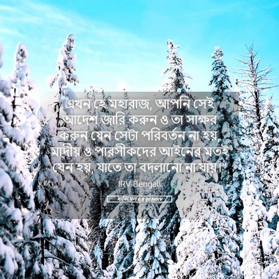 Picture 05 - দানিয়েল 6:8 BENIRV - এখন হে মহারাজ, আপনি - Bible Verse Picture