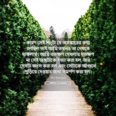 Picture 05 - দানিয়েল 7:11 BENIRV - কারণ সেই শিংটা যে - Bible Verse Picture