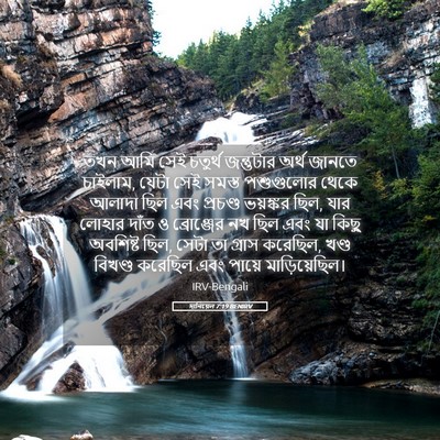Picture 05 - দানিয়েল 7:19 BENIRV - তখন আমি সেই চতুর্থ - Bible Verse Picture