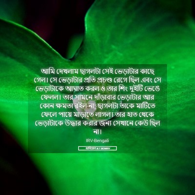 Picture 05 - দানিয়েল 8:7 BENIRV - আমি দেখলাম ছাগলটা - Bible Verse Picture