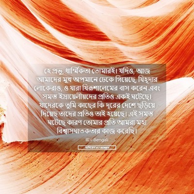 Picture 05 - দানিয়েল 9:7 BENIRV - হে প্রভু, - Bible Verse Picture