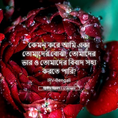 Picture 05 - দ্বিতীয় বিৱৰণ 1:12 BENIRV - কেমন করে আমি একা - Bible Verse Picture