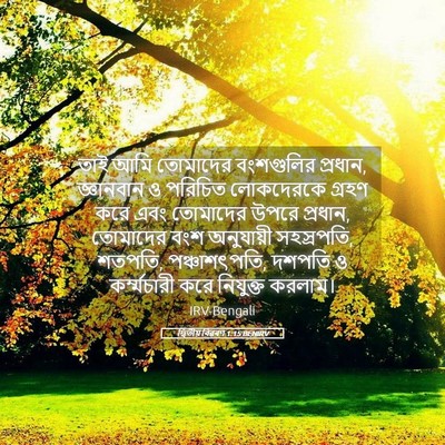 Picture 05 - দ্বিতীয় বিৱৰণ 1:15 BENIRV - তাই আমি তোমাদের - Bible Verse Picture