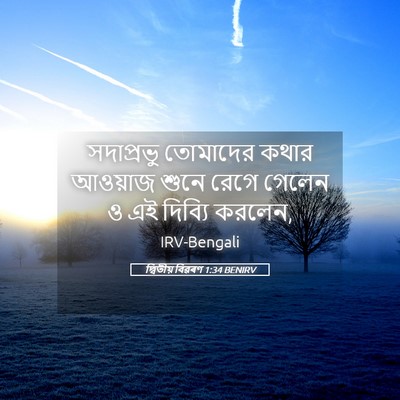 Picture 05 - দ্বিতীয় বিৱৰণ 1:34 BENIRV - সদাপ্রভু তোমাদের - Bible Verse Picture