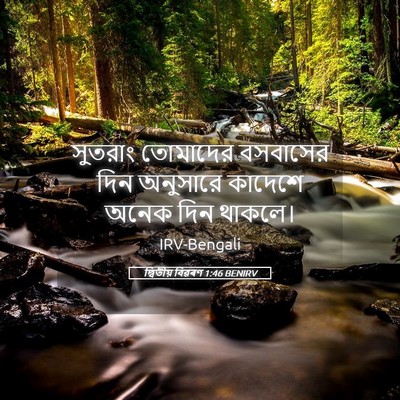 Picture 05 - দ্বিতীয় বিৱৰণ 1:46 BENIRV - সুতরাং তোমাদের - Bible Verse Picture