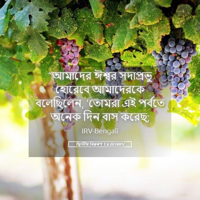 Picture 05 - দ্বিতীয় বিৱৰণ 1:6 BENIRV - “আমাদের ঈশ্বর - Bible Verse Picture