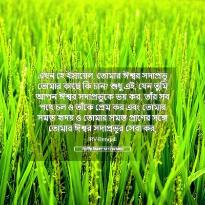 Picture 05 - দ্বিতীয় বিৱৰণ 10:12 BENIRV - এখন হে ইস্রায়েল, - Bible Verse Picture