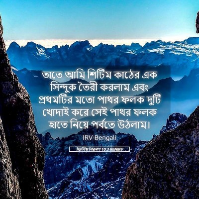 Picture 05 - দ্বিতীয় বিৱৰণ 10:3 BENIRV - তাতে আমি শিটিম - Bible Verse Picture
