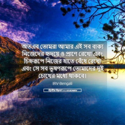 Picture 05 - দ্বিতীয় বিৱৰণ 11:18 BENIRV - অতএব তোমরা আমার এই - Bible Verse Picture