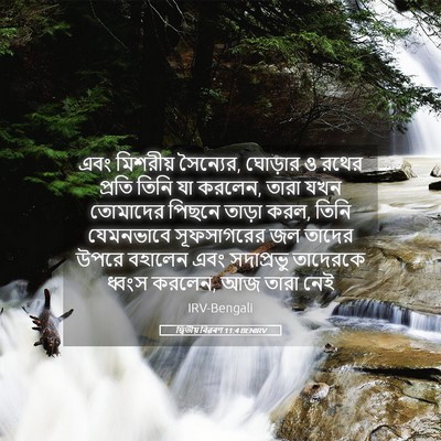 Picture 05 - দ্বিতীয় বিৱৰণ 11:4 BENIRV - এবং মিশরীয় - Bible Verse Picture
