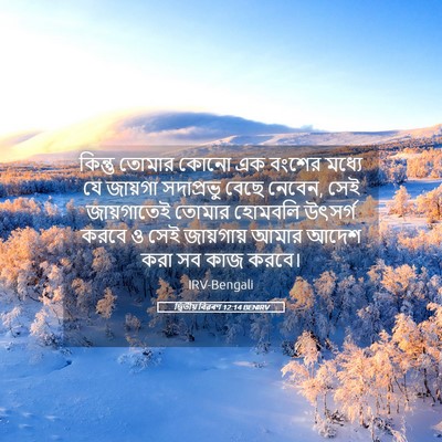Picture 05 - দ্বিতীয় বিৱৰণ 12:14 BENIRV - কিন্তু তোমার কোনো - Bible Verse Picture