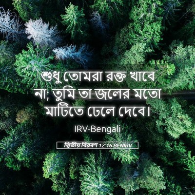 Picture 05 - দ্বিতীয় বিৱৰণ 12:16 BENIRV - শুধু তোমরা রক্ত - Bible Verse Picture