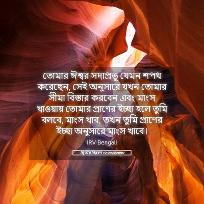Picture 05 - দ্বিতীয় বিৱৰণ 12:20 BENIRV - তোমার ঈশ্বর - Bible Verse Picture