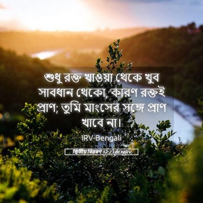 Picture 05 - দ্বিতীয় বিৱৰণ 12:23 BENIRV - শুধু রক্ত খাওয়া - Bible Verse Picture
