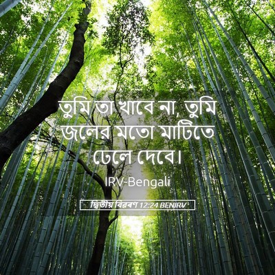 Picture 05 - দ্বিতীয় বিৱৰণ 12:24 BENIRV - তুমি তা খাবে না, - Bible Verse Picture